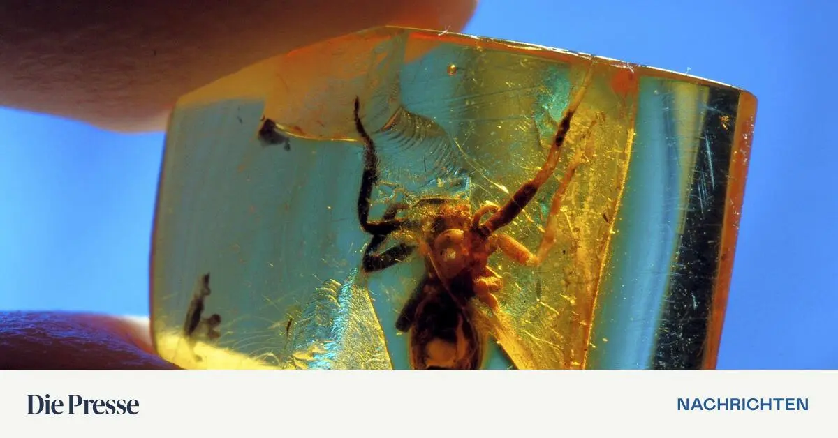 Gelb-weich-und-uralt-premium-