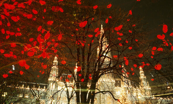 Archivbild: Der Herzerlbaum vor dem Rathaus 