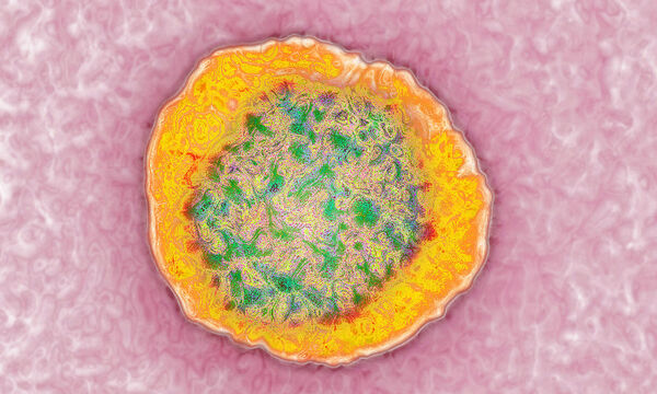 22 Nanometer Durchmesser: Dieses Bild des (notorisch schwer darzustellenden) Hepatitis-C-Virus ist mit einem Transmissionselektronenmikroskop entstanden.
