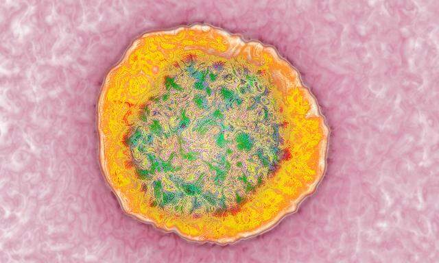 22 Nanometer Durchmesser: Dieses Bild des (notorisch schwer darzustellenden) Hepatitis-C-Virus ist mit einem Transmissionselektronenmikroskop entstanden.
