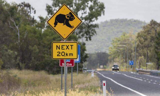 Symbolbild: Warntafel vor Koalabären in Australien