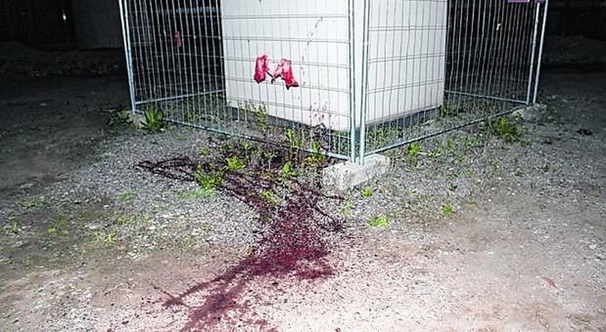 Schweineköpfe vor einer Grazer Moschee im Mai 2016