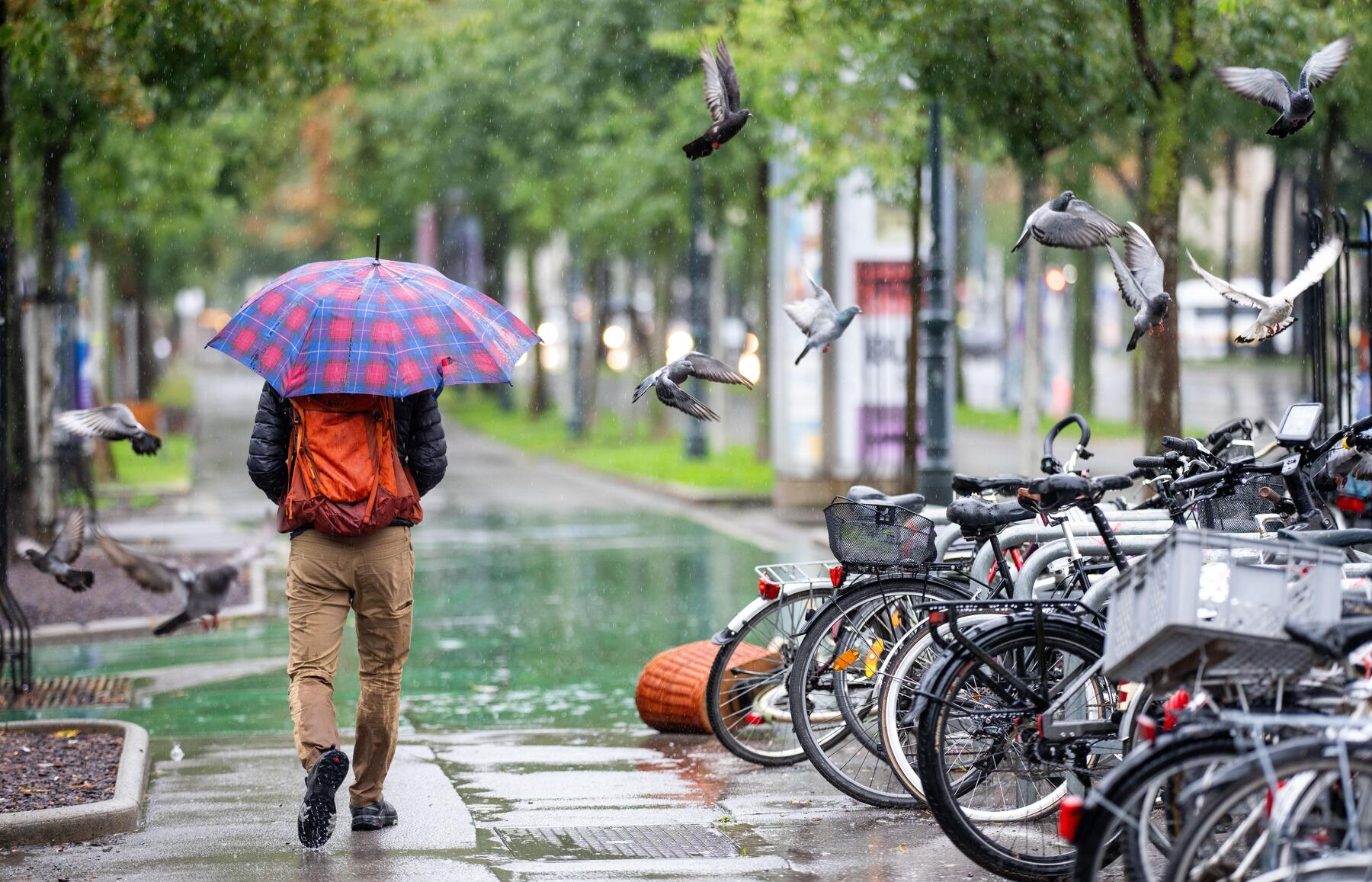Wetter bringt am langen Wochenende viele Wolken und Regen