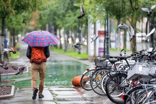 Am Donnerstag breiten sich von Südwesten her Regen und Regenschauer aus.
