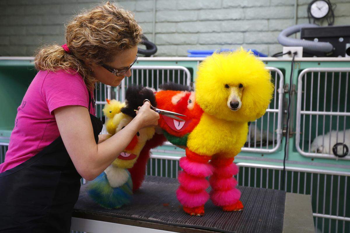 Opson hat für ihren Zugang zum Hundestyling bereits mehrere Awards gewinnen können.