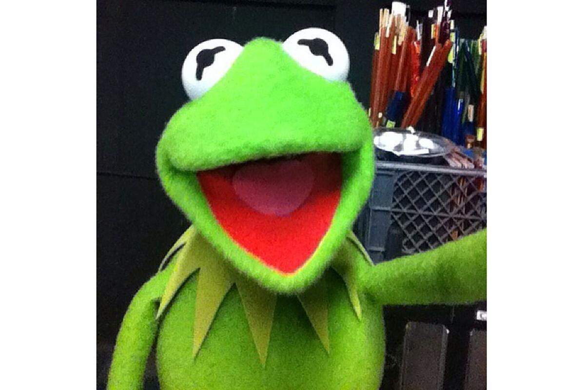 Nachahmer gab es viele, auch ihn. Kermit der Frosch postete dieses Jahr sein erstes Selfie: "Hi-ho, Instagram gang!" 