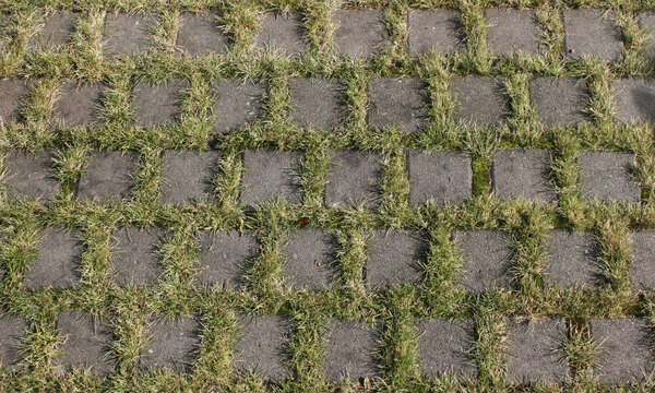 Pflastersteine und Gras