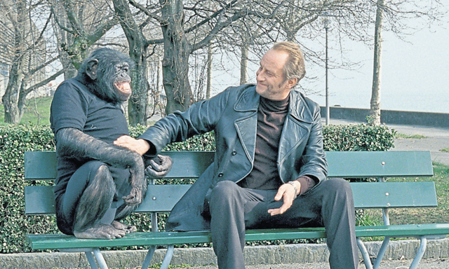 Der belgische Schmalspurganove Eddy Ricaart (Benoît Poelvoorde) hat nicht nur seltsame Sitznachbarn, sondern auch seltsame Einfälle. 