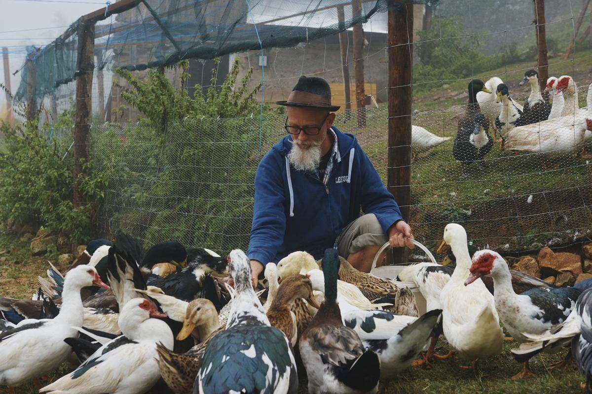 Exklusiv. Peter Bloombergson alias Mister Duck züchtet Enten für Koch Luka Košir.