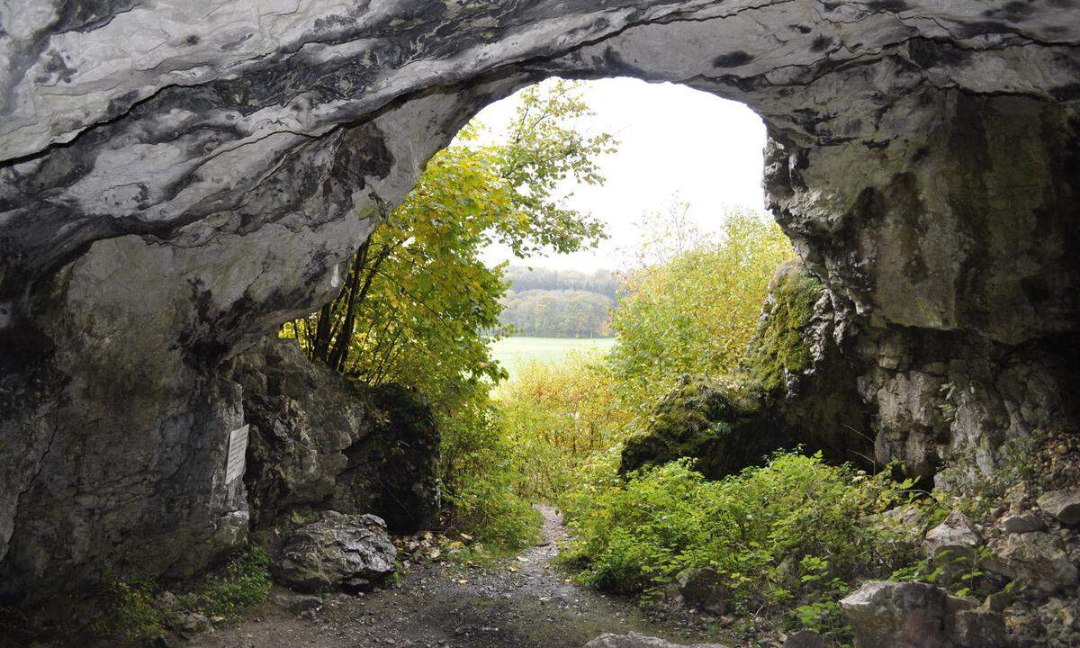 Die sechs Höhlen rund um Blaubeuren im deutschen Bundesland Baden-Württemberg gelten als eines der wichtigsten Ausgrabungsgebiete für Archäologen. Unter anderem fanden Forscher dort die älteste bekannte Menschenfigur der Welt, die 40.000 Jahre alte „Venus vom Hohle Fels“. Seit den 1860er-Jahren gibt es in den Höhlen Ausgrabungen, sie brachten zahlreiche bis zu 43.000 Jahre alte Darstellungen von Mammuts, Höhlenlöwen, Pferden und Musikinstrumenten zutage. Die Fundstücke gehören zu den ältesten Zeugnissen für eine bewusste künstlerische Betätigung des Menschen.