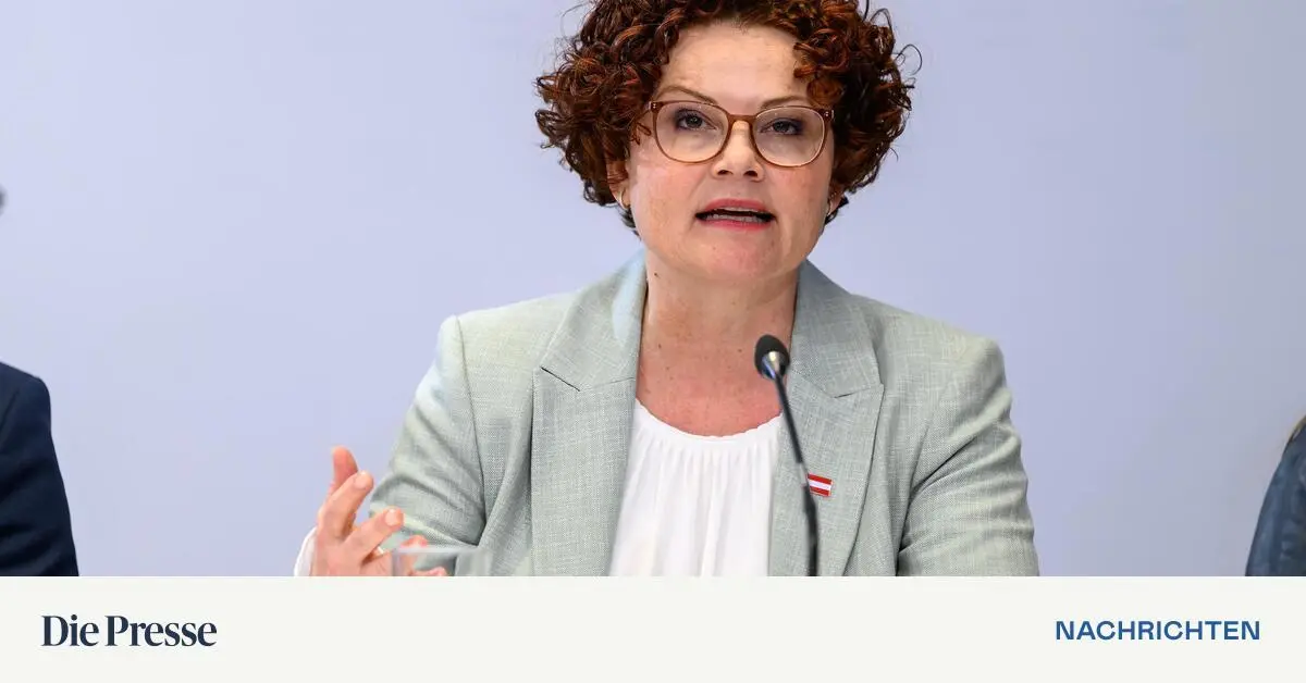 Energie-Staatssekret-rin-Zehetner-Wir-haben-keinen-Engpass-