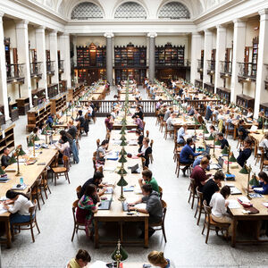 „Wir haben ein Laissez-faire-System, das zum Scheitern einlädt“, sagt Vitouch.