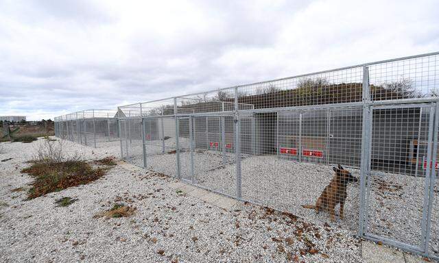 Hundezwinger auf dem Gelände der Wiener Neustädter Flugfeld-Kaserne