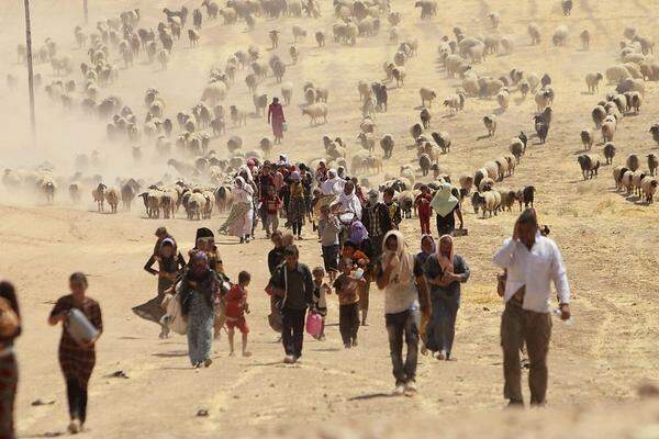 Die Lage für die Yeziden im Irak wird immer kritischer. Bedrängt von den Milizen des "Islamischen Staates", harren sie teils ohne ausreichend Wasser und Nahrung aus. Mehr als 30.000 konnten schon gerettet werden, aber zigtausende warten weiter auf Hilfe.