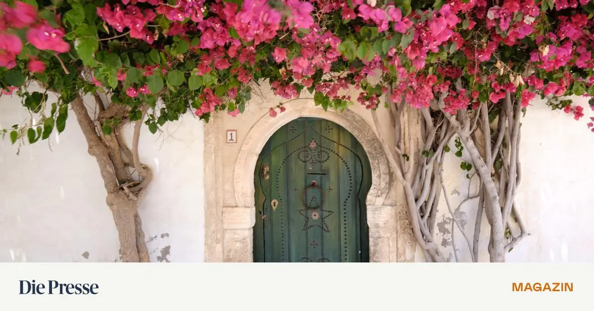 Wintertage-in-Tunesien-einmal-nicht-am-Strand-premium-