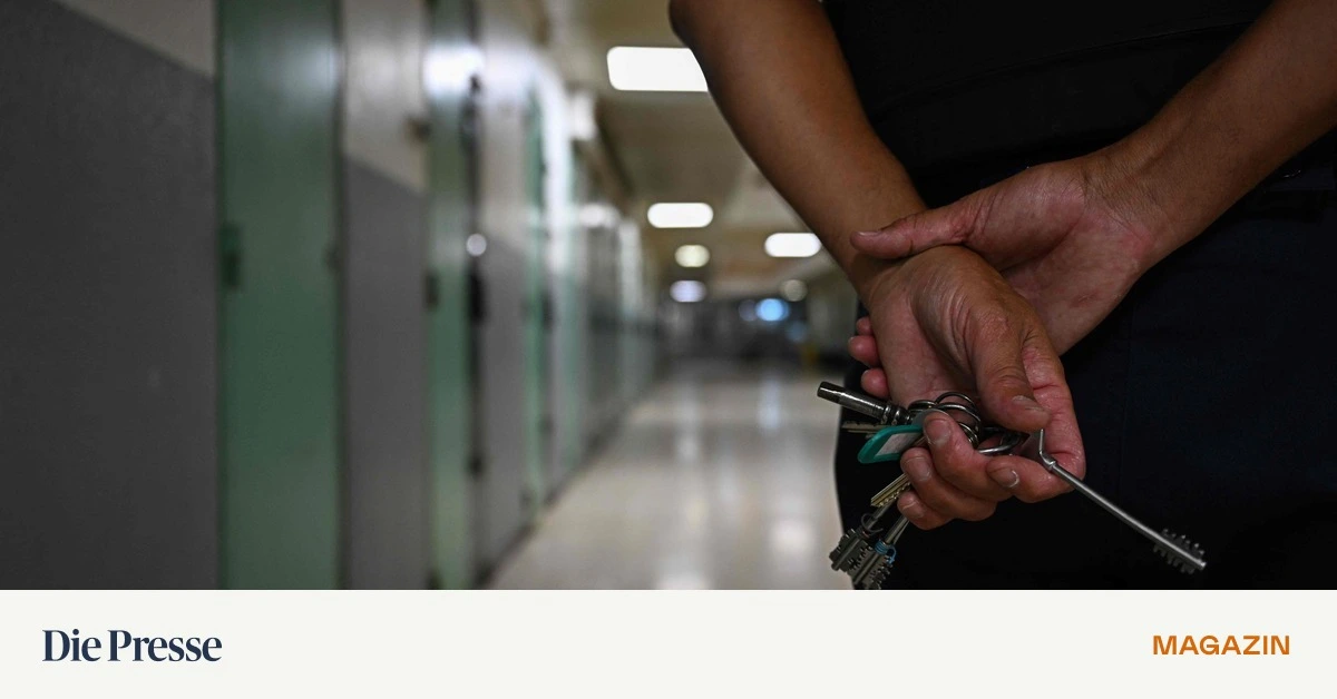 Die-gef-hrlichste-Schwachstelle-in-der-internationalen-Verbrechensbek-mpfung-und-wie-sterreich-damit-umgeht-premium-