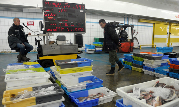 FILES-FRANCE-BRITAIN-EU-POLITICS-BREXIT-VOTE-FISHING