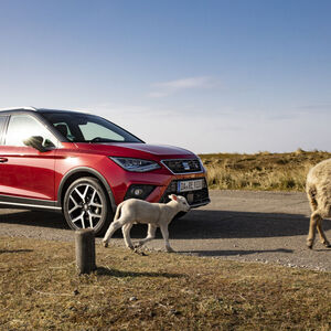Lammfromm geben sich CNG-Autos im täglichen Umgang, das will Seat unter dem Kürzel TGI nun in die Welt tragen.