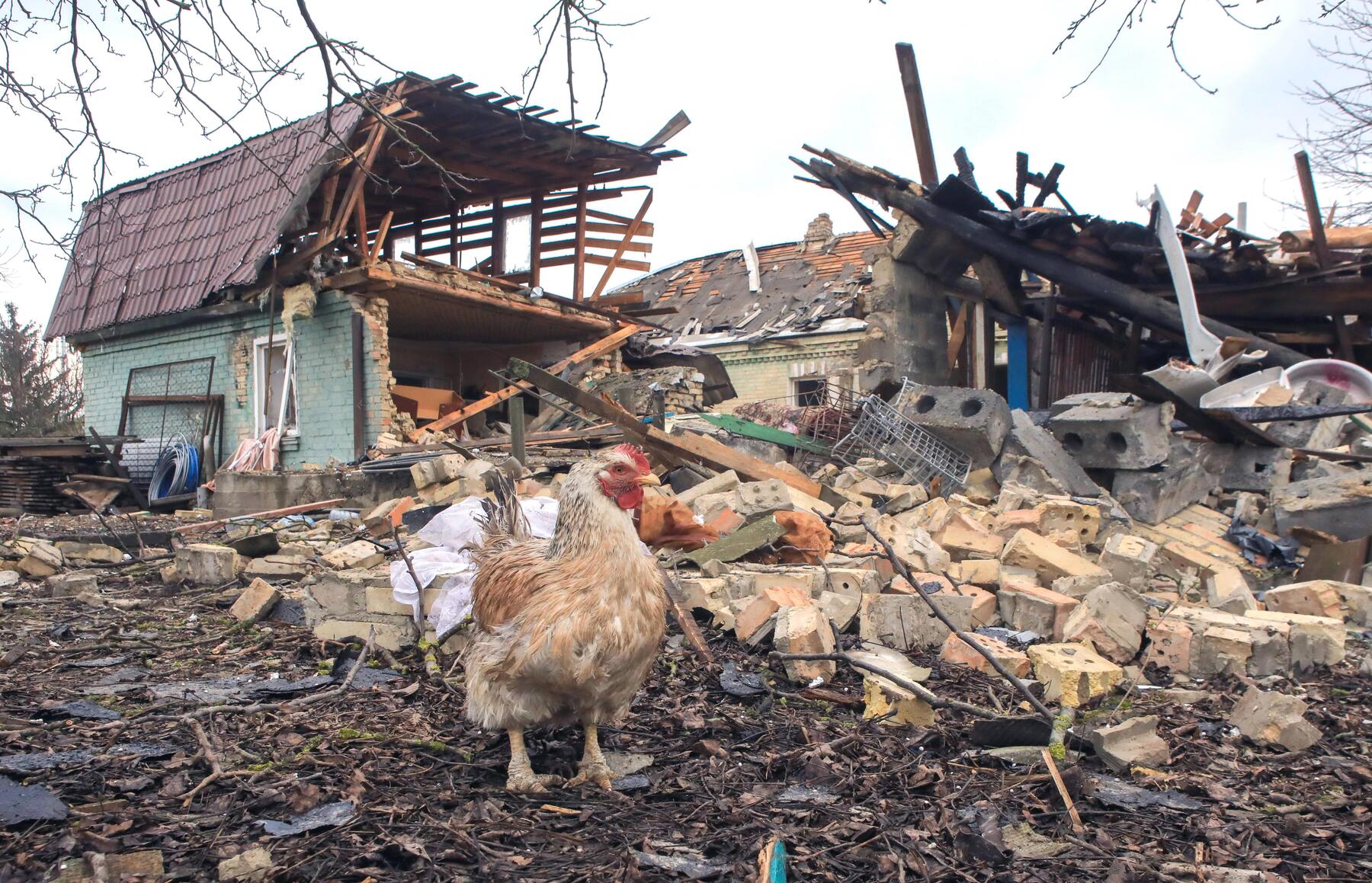 Ukraine meldet 14 Tote nach russischer Angriffswelle