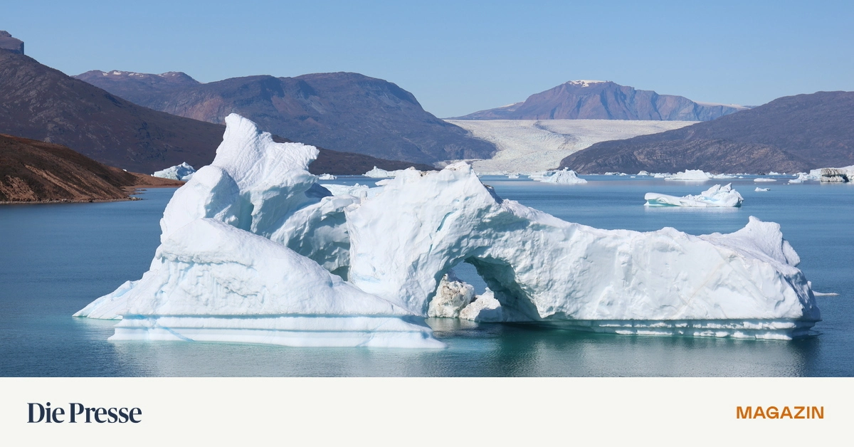 Die-W-chter-des-Eismeers-haben-in-Gr-nland-viel-zu-tun-premium-