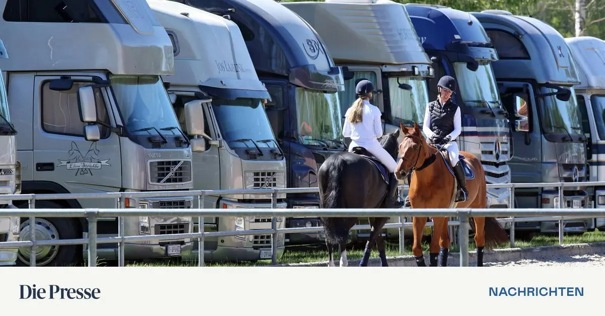 Finanzamt-untersch-tzt-Pferdest-rke-Dreiachsiger-Transporter-ist-kein-Pkw-premium-