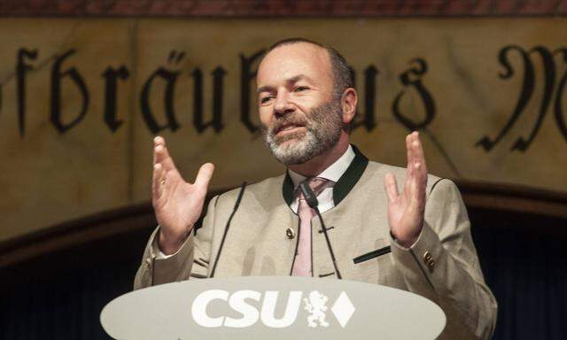 Manfred Weber (CSU)