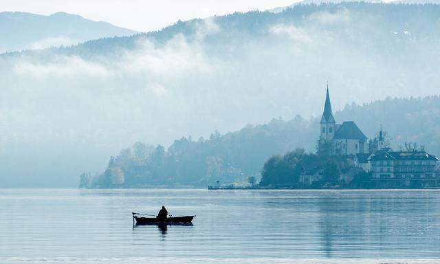 Raritäten. Der Nachschub ist knapp am Wörthersee, die Nachfrage hoch wie immer.