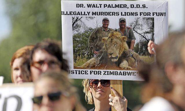 Proteste gegen den US-Zahnarzt Walter Palmer 