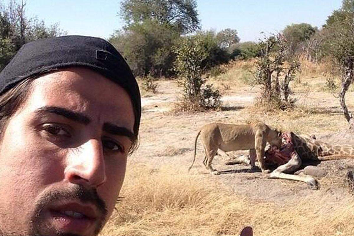 Für Diskussionen sorgte am 12. Juni Sami Khedira: Der Real Madrid-Kicker und Freund von Model Lena Gercke lud auf Instagram ein Bild hoch, das ihn gemeinsam mit einem aasfressenden Löwen zeigt.