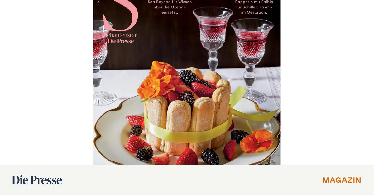 Das-Schaufenster-vom-14-November