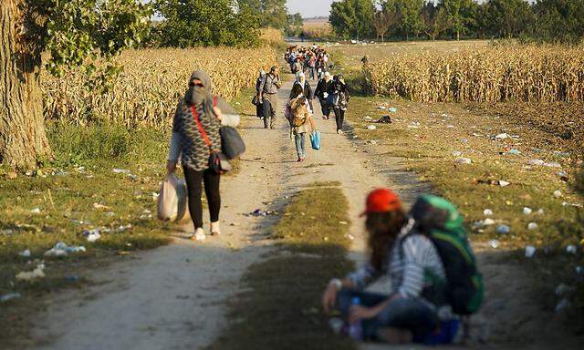 Flüchtlinge zwischen Serbien und Kroatien