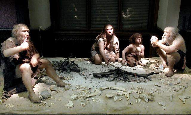 Warum sind die Neandertaler verschwunden?