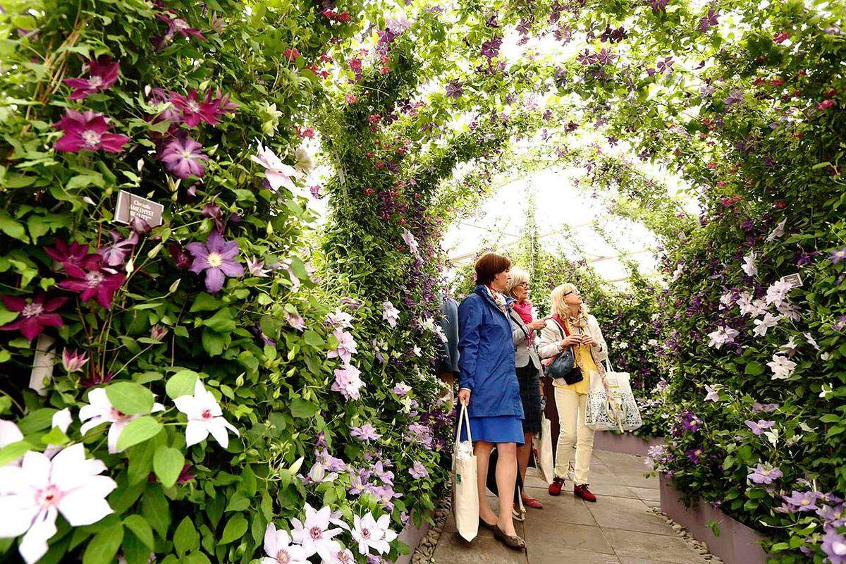 Zum Vergleich ein Blick auf die andere Seite zur Chelsea Flower Show, dort werden in vier Tagen mehr als 1000 Champagnerflaschen geleert - auch wenn man nicht wie heuer 100. Jubiläum feiert.