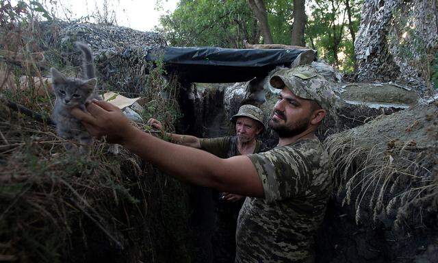 Ukrainische Soldaten an der Front in der Nähe von Novotoshkivke in der Region Luhansk haben Zeit für Angenehmeres als Krieg.