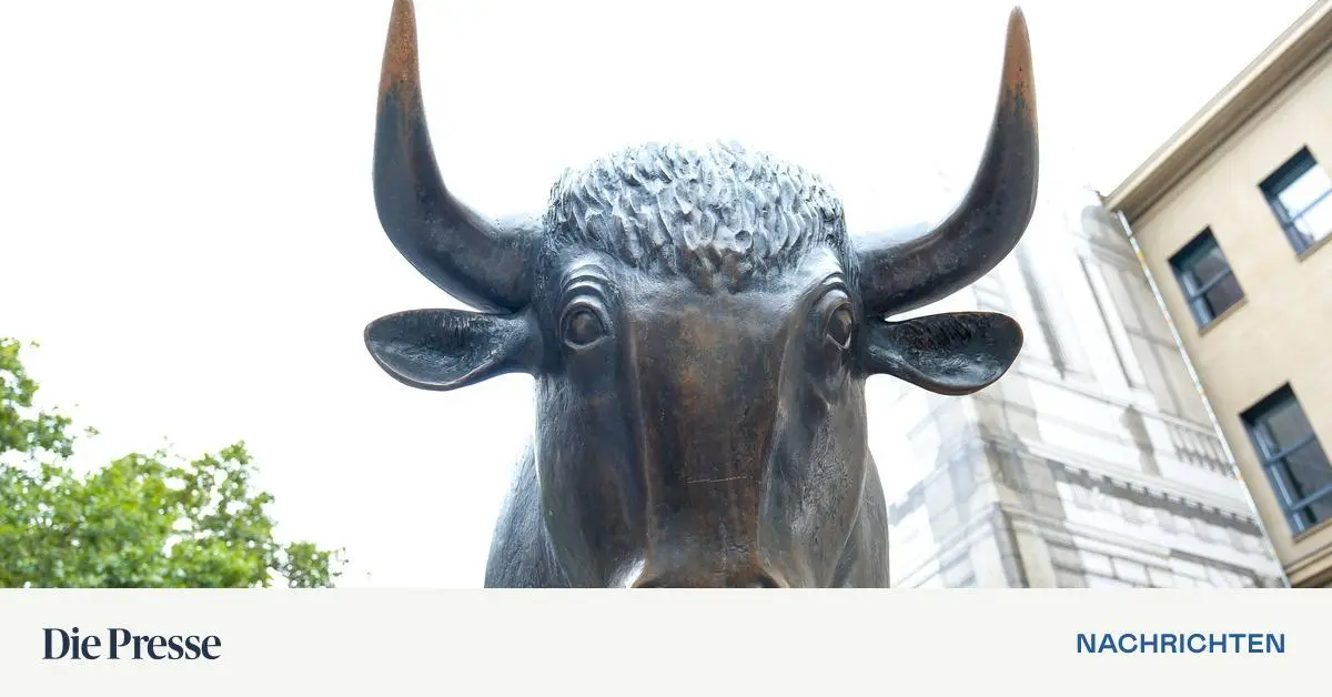 Bei-diesen-acht-sterreichischen-Aktien-raten-Experten-zum-Kauf-eine-erh-lt-sogar-das-Pr-dikat-Top-Pick-premium-