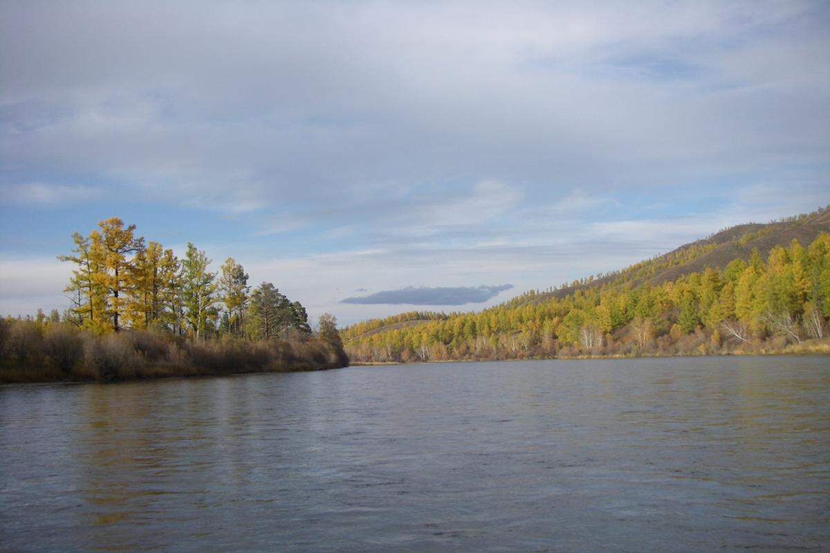Die einzigartige Ökologie dieser Gegend wird bisher von internationalen Forschern genutzt: In Studien, wie sich menschlicher Eingriff auf unterschiedliche Gewässer auswirkt, ist der unberührte Fluss der Mongolei als Referenz Gold wert.