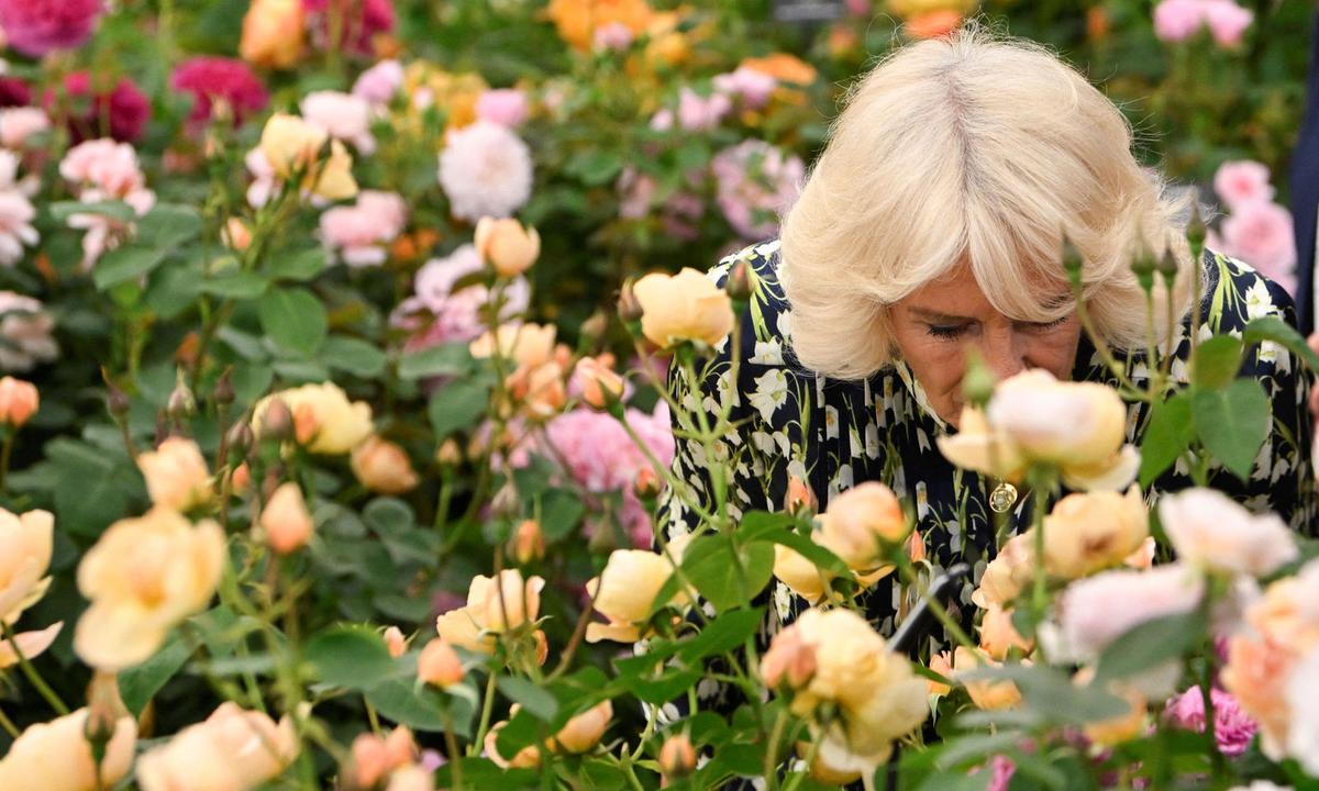 Queen Camilla inspiziert die Pflanzen genau.