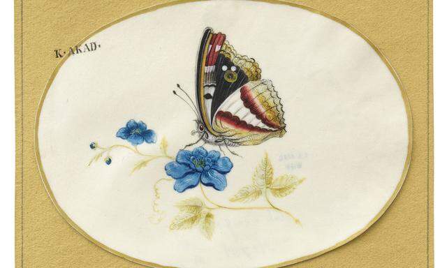 Die Frankfurter Künstlerin und Naturforscherin Maria Sibylla Merian war schon zu Lebzeiten berühmt: Im Kupferstichkabinett befindet sich ihre Miniatur „Schmetterling auf Blume“, um 1700.
