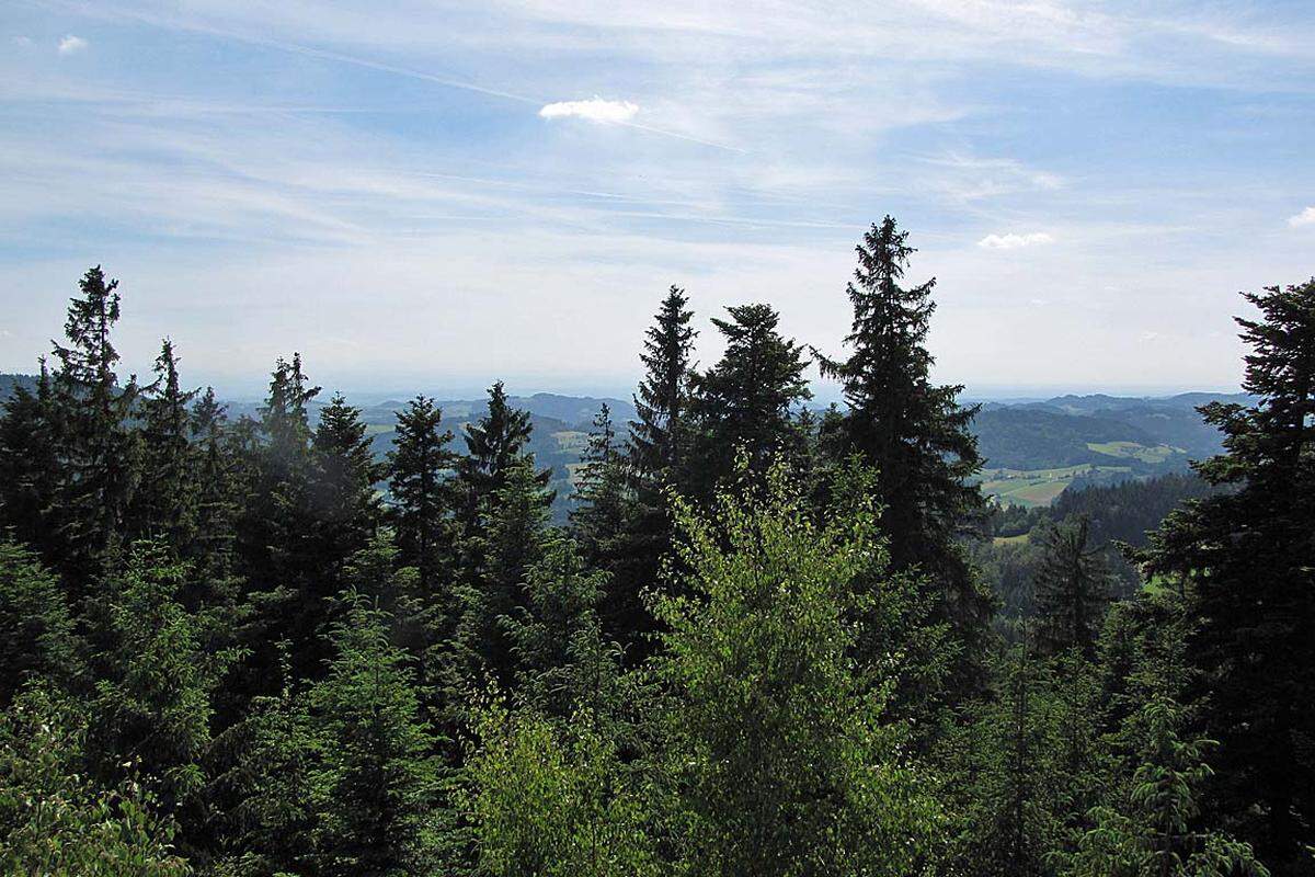 Der Blick vom Schafstein reicht vom nahen Waldhausen über die Hügelkuppen des Mühl- und Waldviertels bis zu den fernen schroffen Gipfeln der Voralpen.