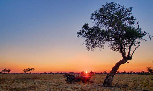 Rötlich. Sonnenuntergang im Südluangwa-Nationalpark in Sambia. 