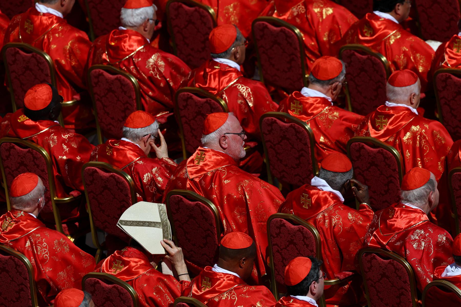 Most cardinals are creditors when western observers believe – the press.com