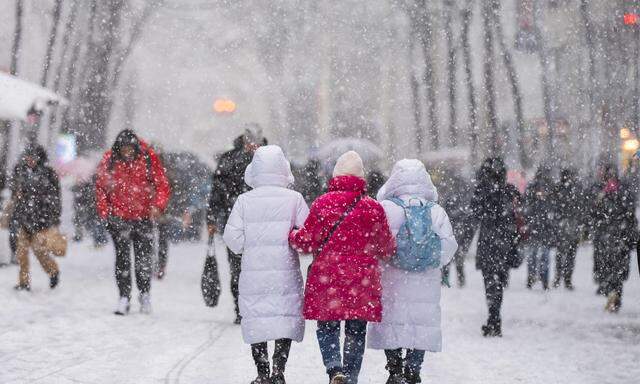 Anfang Dezember gab es in Wien 250 Prozent mehr Schnee als im Durchschnitt der letzten 30 Jahre.