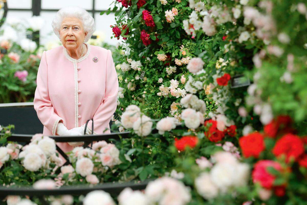 In Pastell. Die Königin von England schaut regelmäßig auf der Flower Show vorbei. Mit ihr über Blumen zu plaudern ist aber für Besucher nicht vorgesehen.
