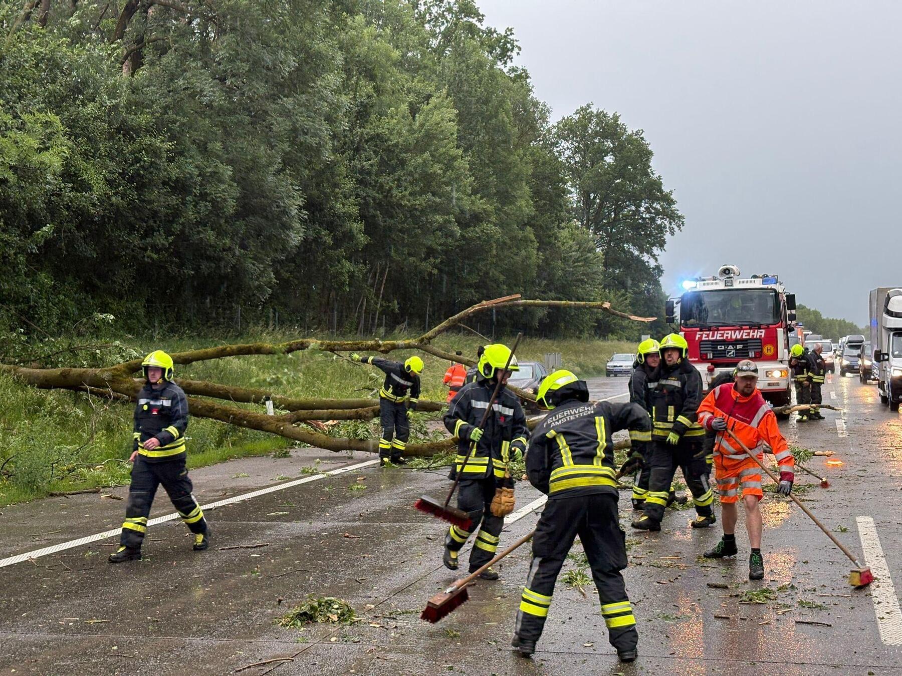 Zahlreiche Unfälle durch umgestürzte Bäume nach Gewitter