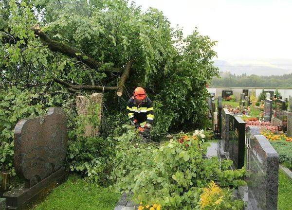 Am Friedhof von Großlobming (Steiermark) verursachten Bäume Schäden an mehreren Gräbern.
