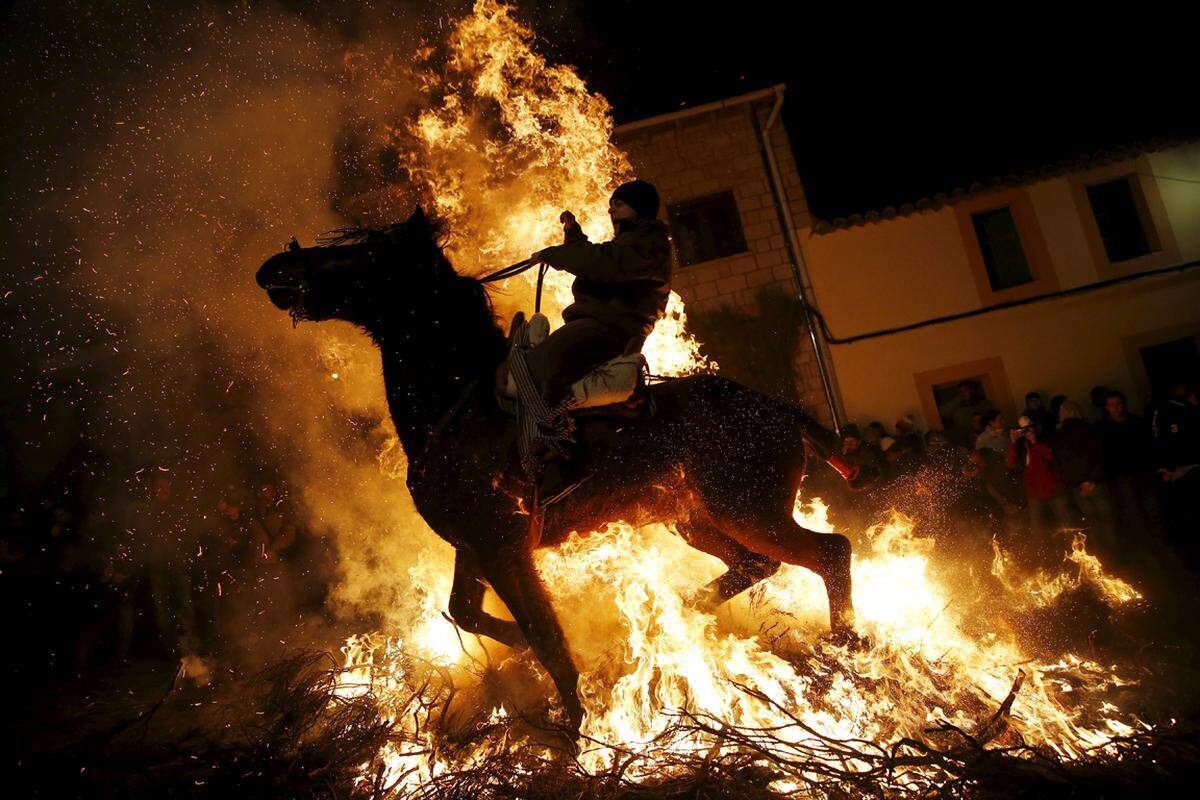 16. Jänner. Feurig ging es hingegen  im Jänner im spanischen San Bartolome de Pinares zu. Während des "Luminarias", eines religiösen Festes zu Ehren des Heiligen Antonius, reiten Männer jedes Jahr mit ihren Pferden durch die schmalen Gässchen des Ortes. Der Rauch der Festtagsfeuer reinige die Pferde, heißt es nach der 500 Jahre alten Tradition.