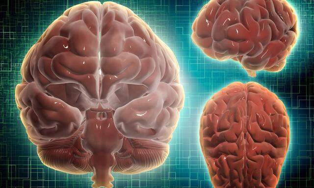 Was passiert bei einem Déjà-vu im Gehirn?