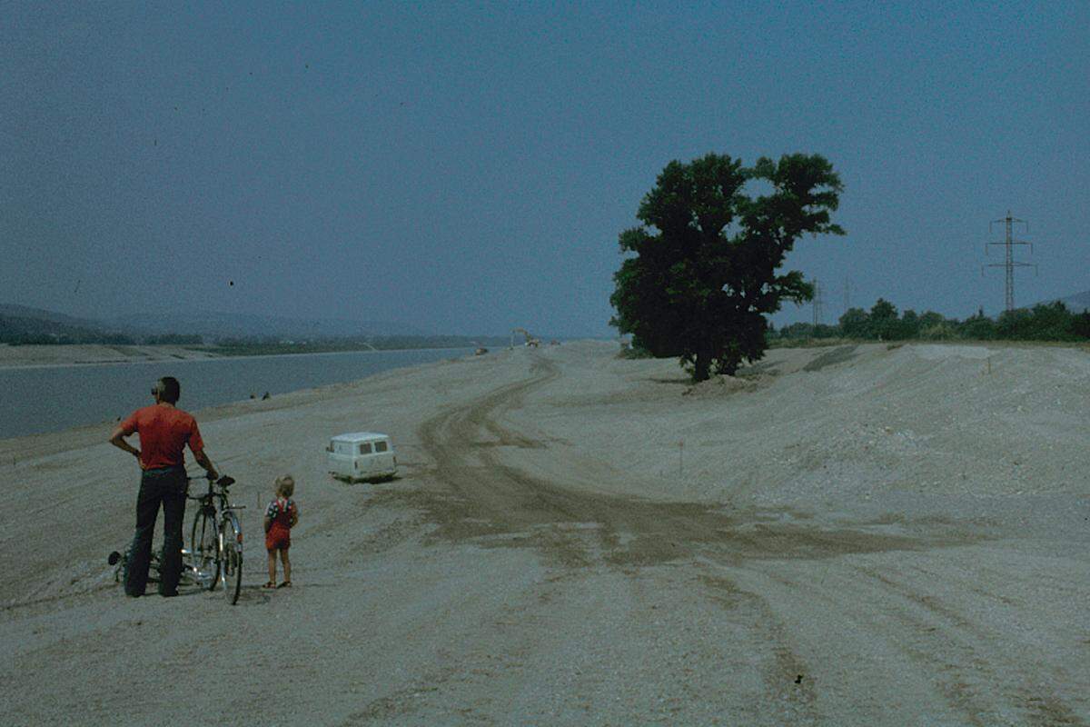 Der Baumbestand wie zum Beispiel am Toten Grund im Süden der Insel wurde großteils erhalten. Bild aus dem Jahr 1978