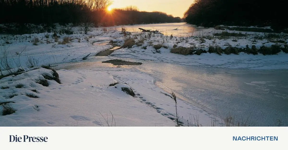 Wissen-in-K-rze-Heimische-Studien-zu-Naturschutz-und-Klima
