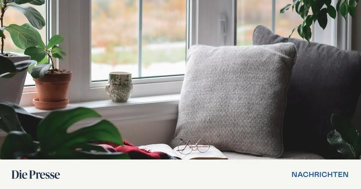 Wohnideen-entdecken-Architektur-auf-Instagram-und-in-B-chern-premium-